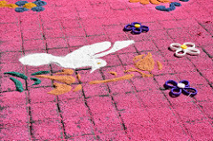 carpet cleaning work carpet cleaning work